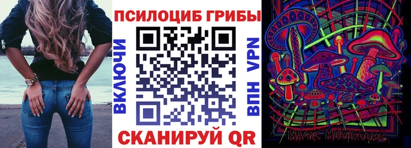 Псилоцибиновые грибы GOLDEN TEACHER  Анжеро-Судженск 